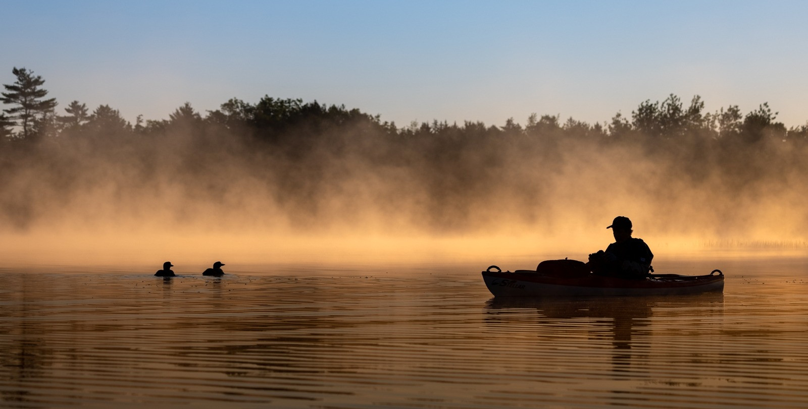 Silhouette of a person kayaking on a calm lake at sunrise, surrounded by golden mist, distant trees, and two swimming ducks.