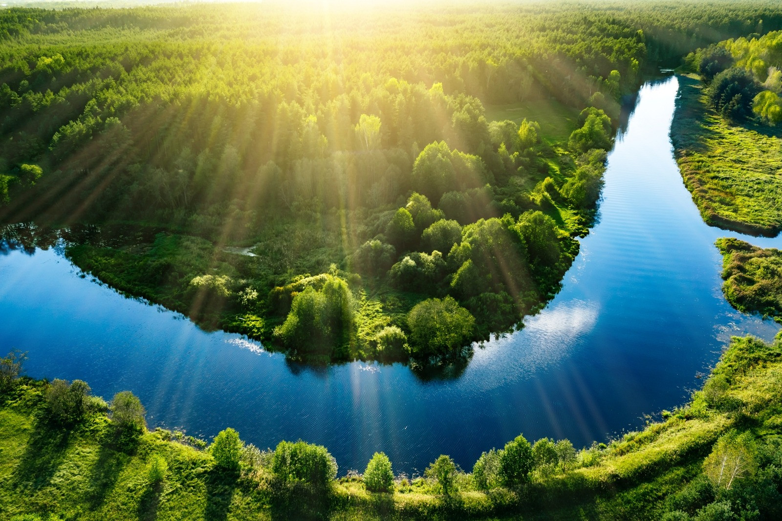 Aerial view of a winding blue river surrounded by a lush green forest in warm sunlight.