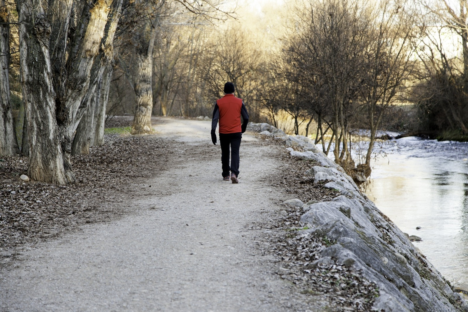 Person walking along a riverside path surrounded by trees.