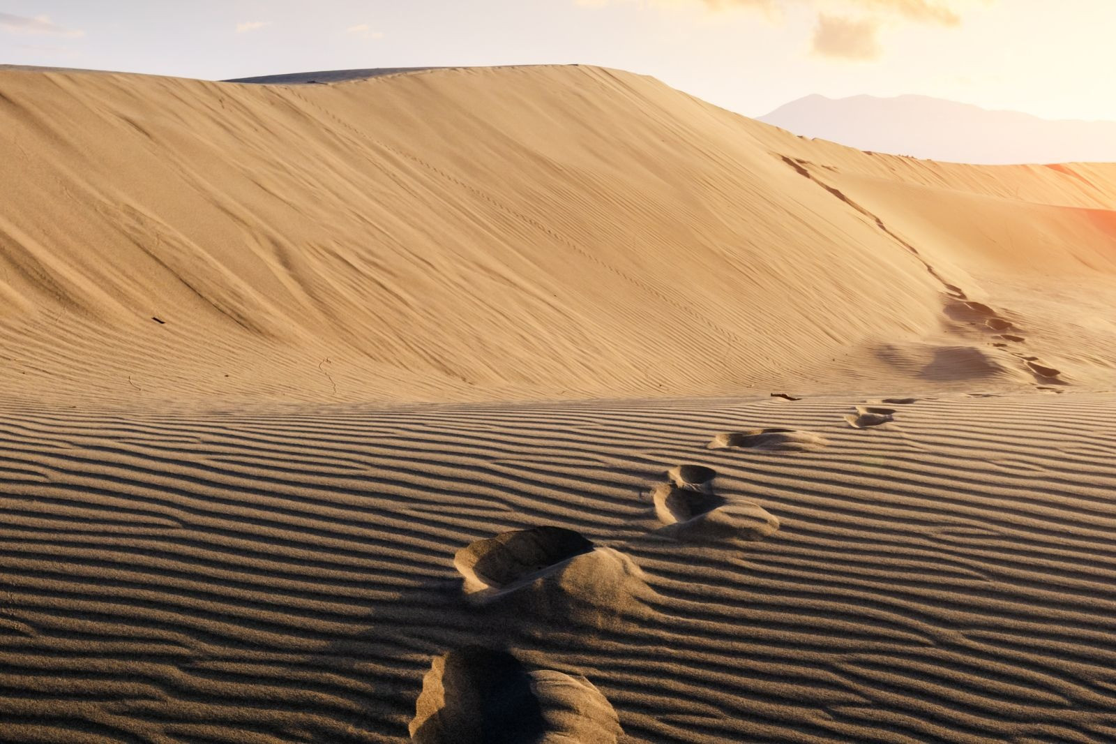 A trail of footprints across golden sand dunes at sunset, with rippled sand patterns and warm sunlight creating a peaceful desert landscape.