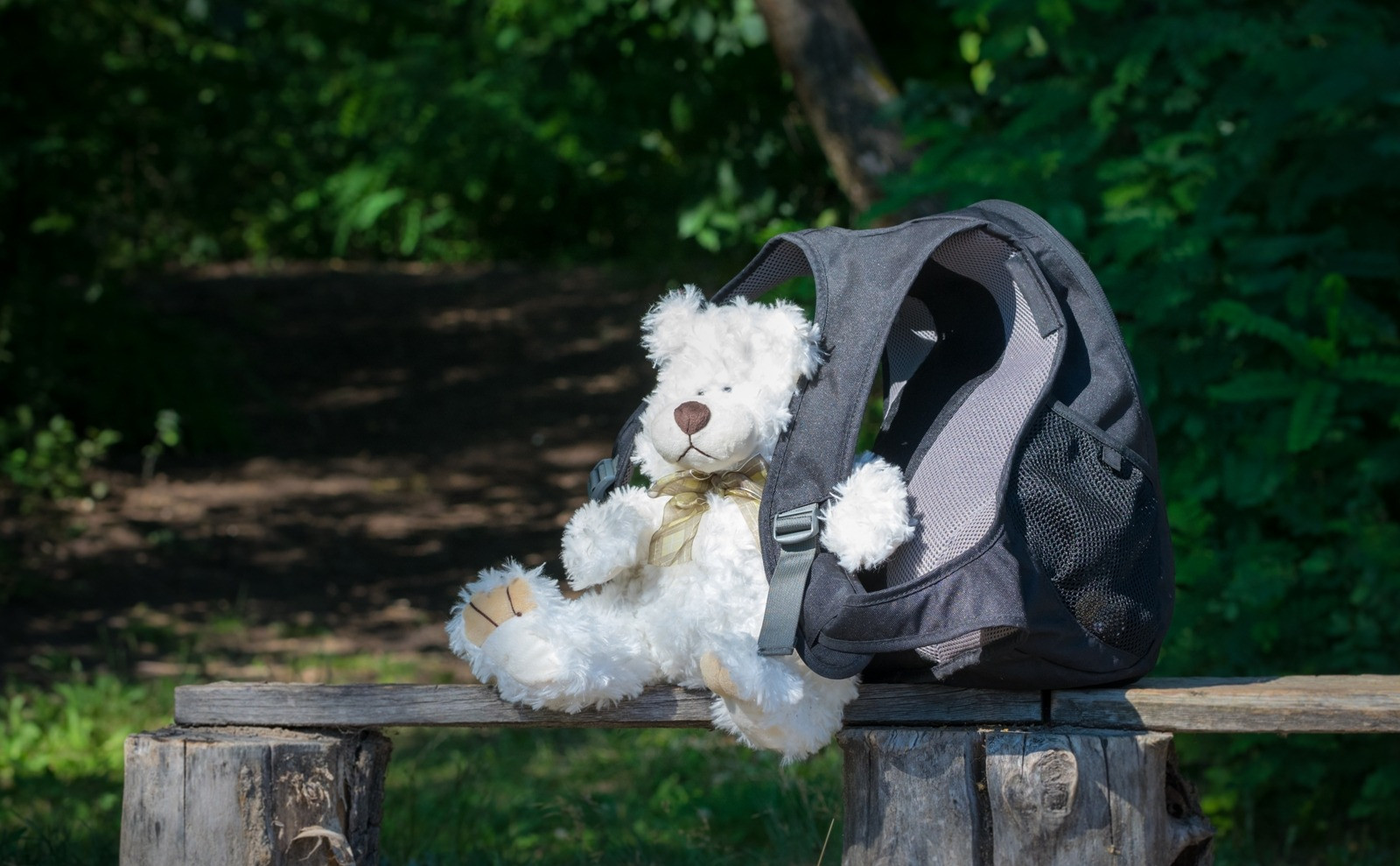 A white teddy bear nestled against a gray backpack on a wooden bench beside a leafy woodland path.