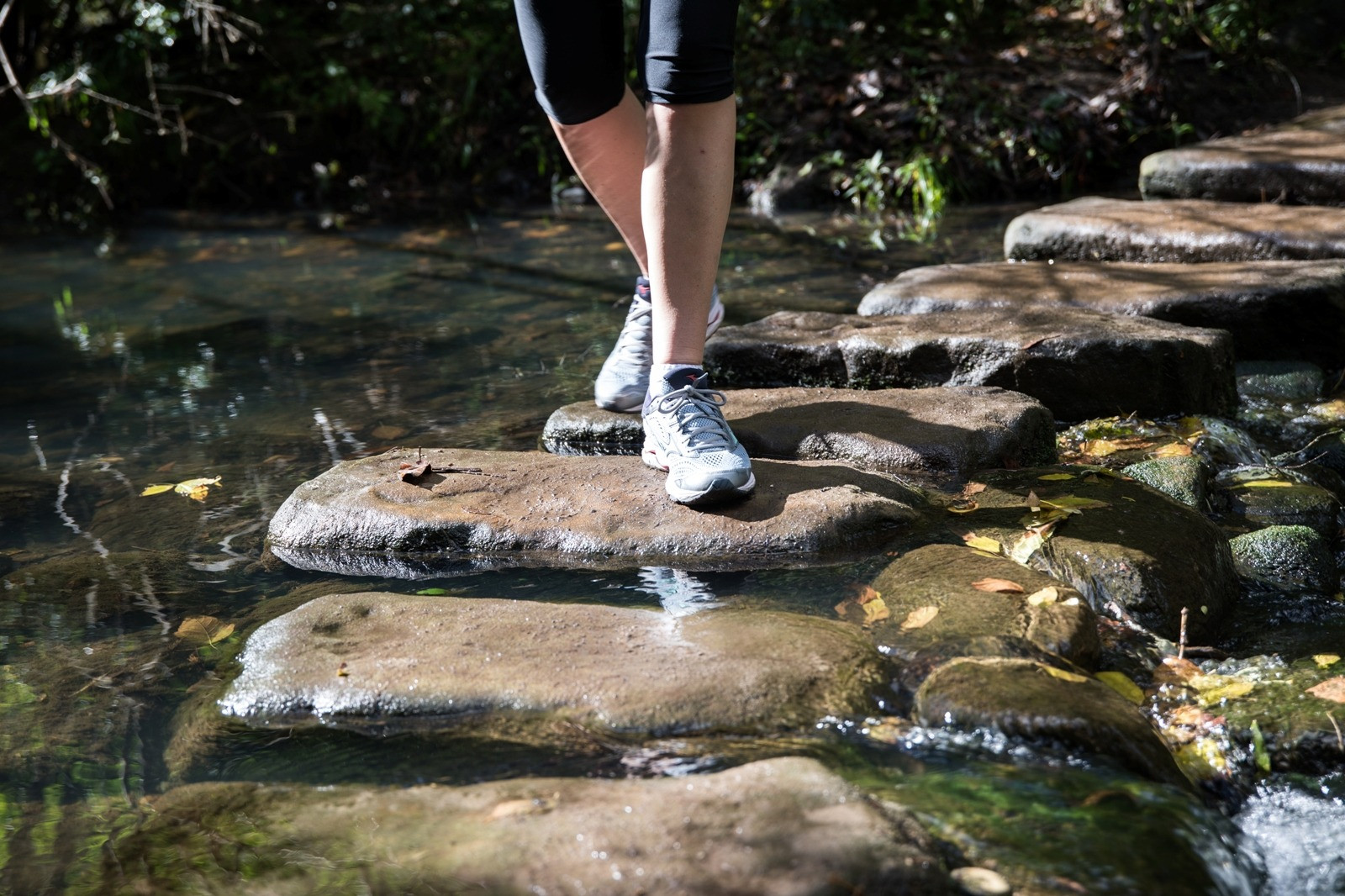 Person walking across stepping stones over a shallow stream in a wooded area.