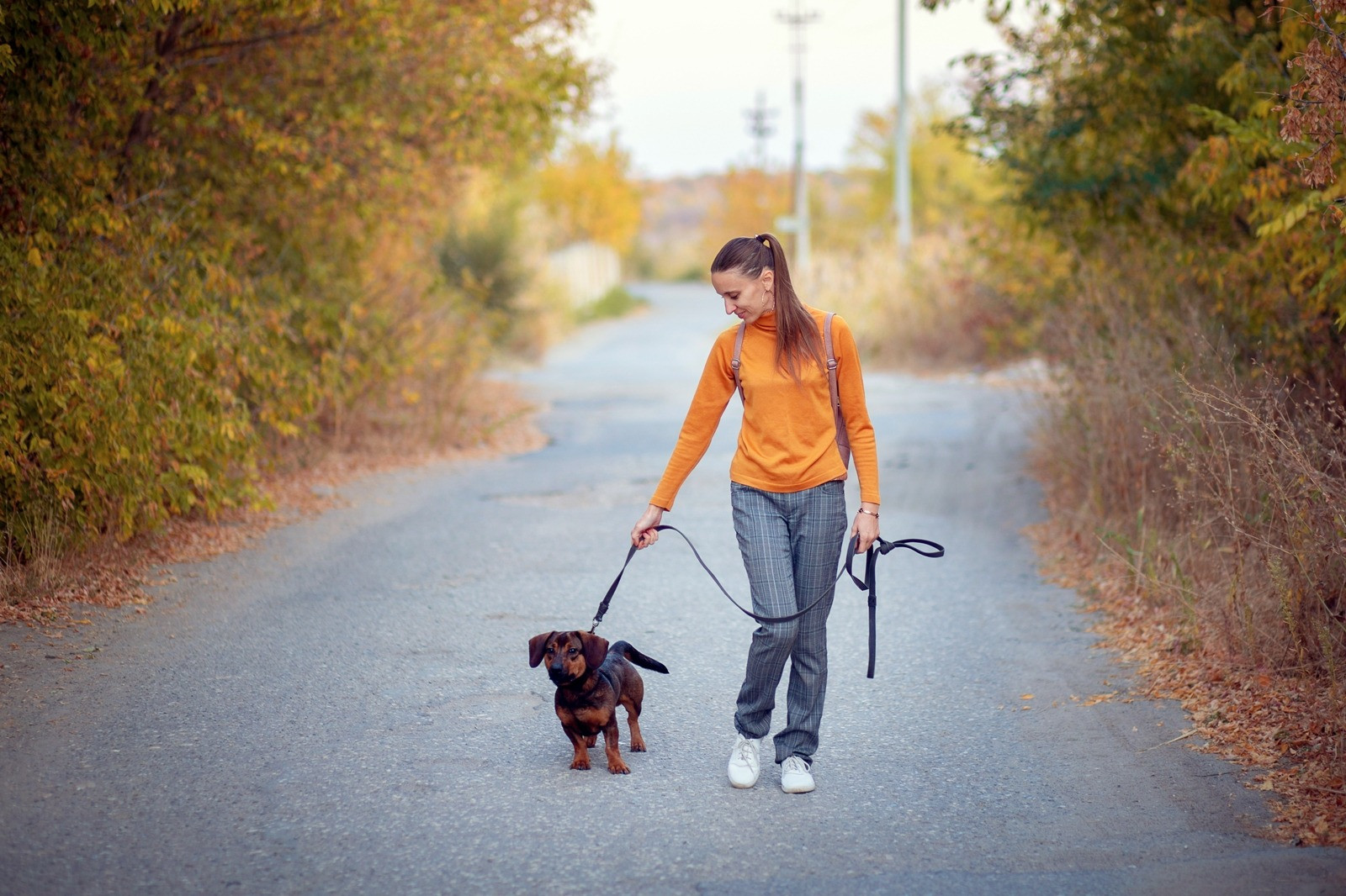 Woman walking a small dog along a quiet road surrounded by autumn trees.