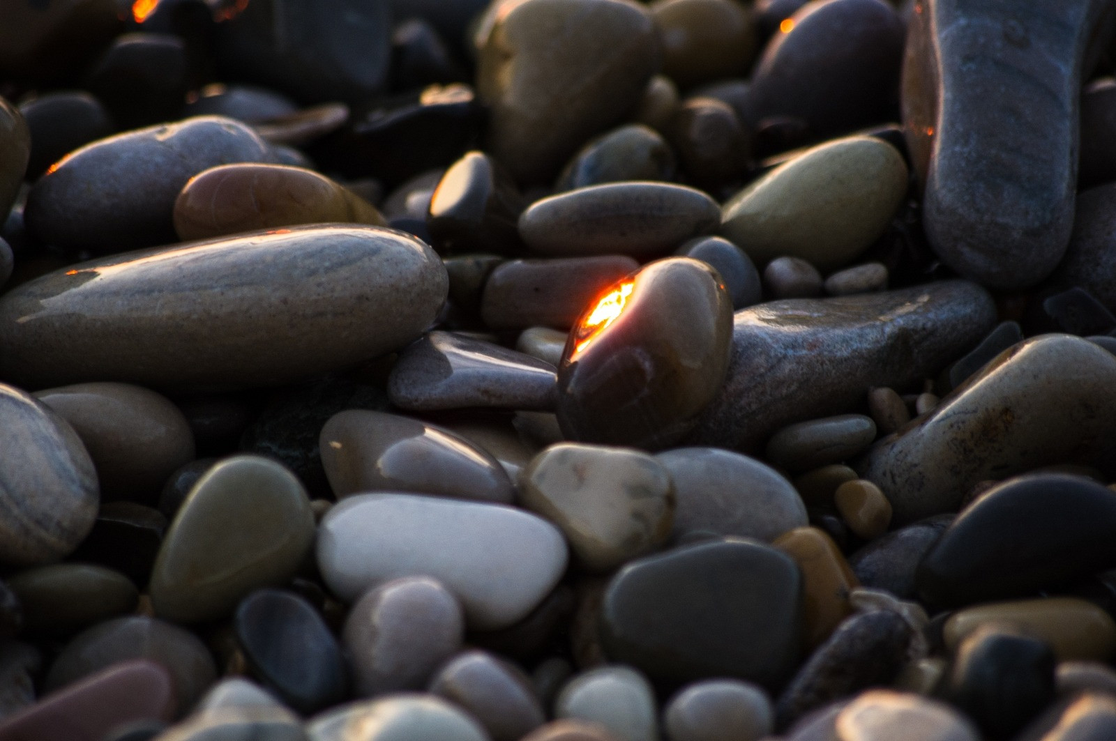 Close-up of smooth pebbles in muted gray and brown tones, with warm sunlight reflecting between the stones.