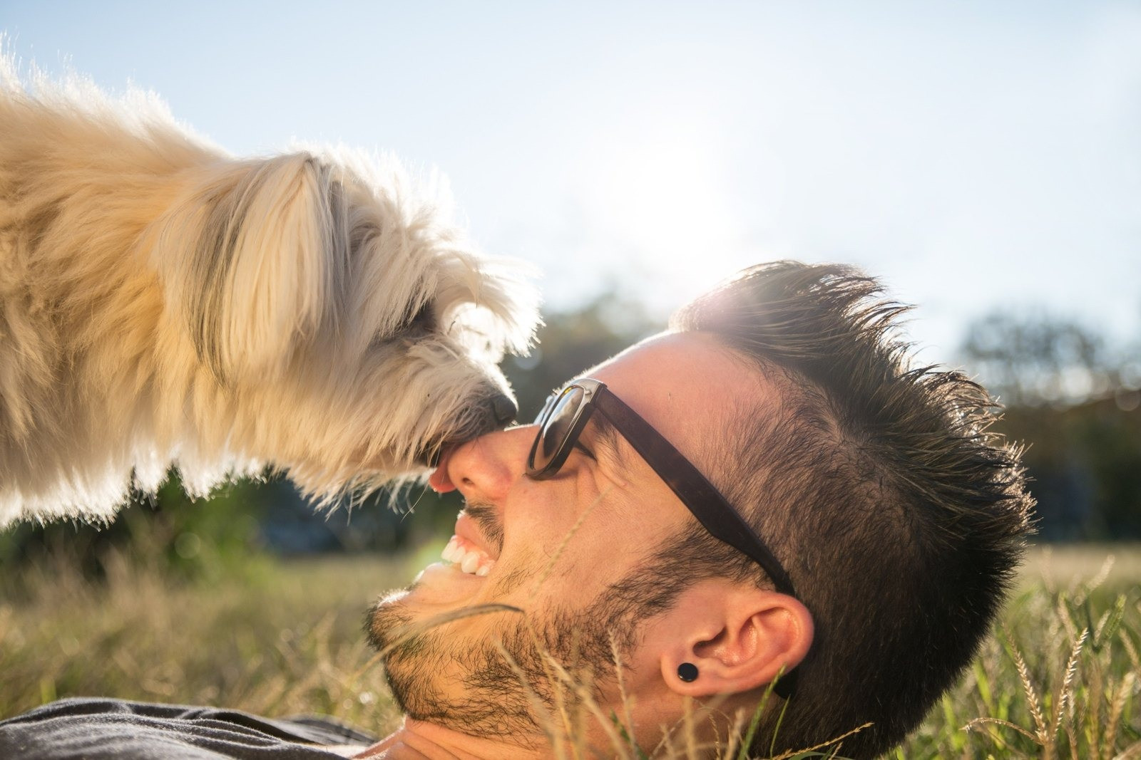 Man wearing sunglasses lying in a grassy field while a fluffy white dog touches his face.