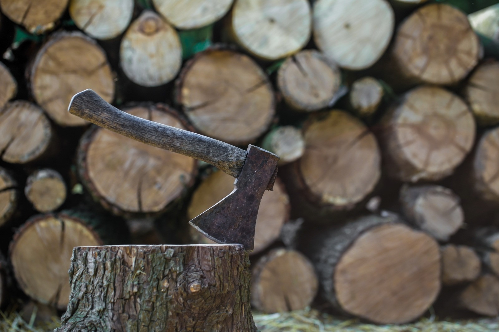 Axe embedded in a tree stump with stacked cut logs in the background.