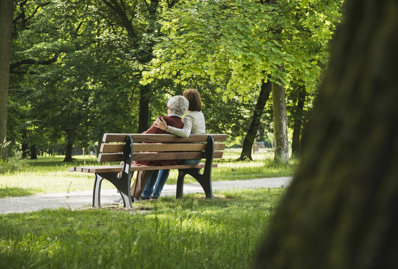 Two people sitting together on a park bench beneath green trees, with one person’s arm around the other.