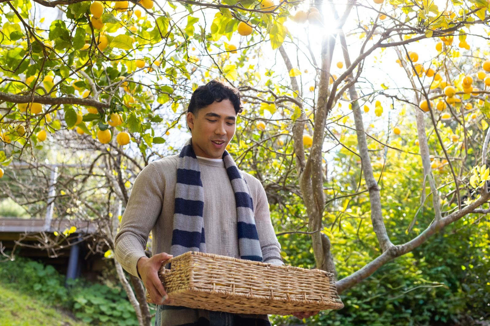 Man holding a wicker basket beneath lemon trees in a sunlit orchard, surrounded by green foliage, illustrating a calm, reflective moment.