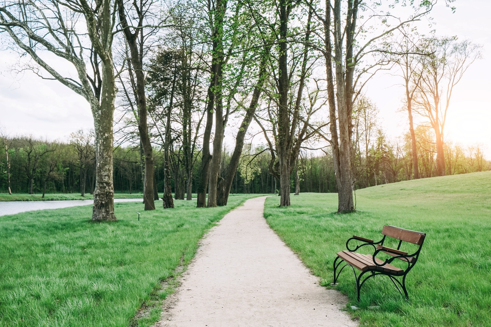 Empty park bench beside a walking path in a quiet green setting, representing a pause between EMDR sessions.