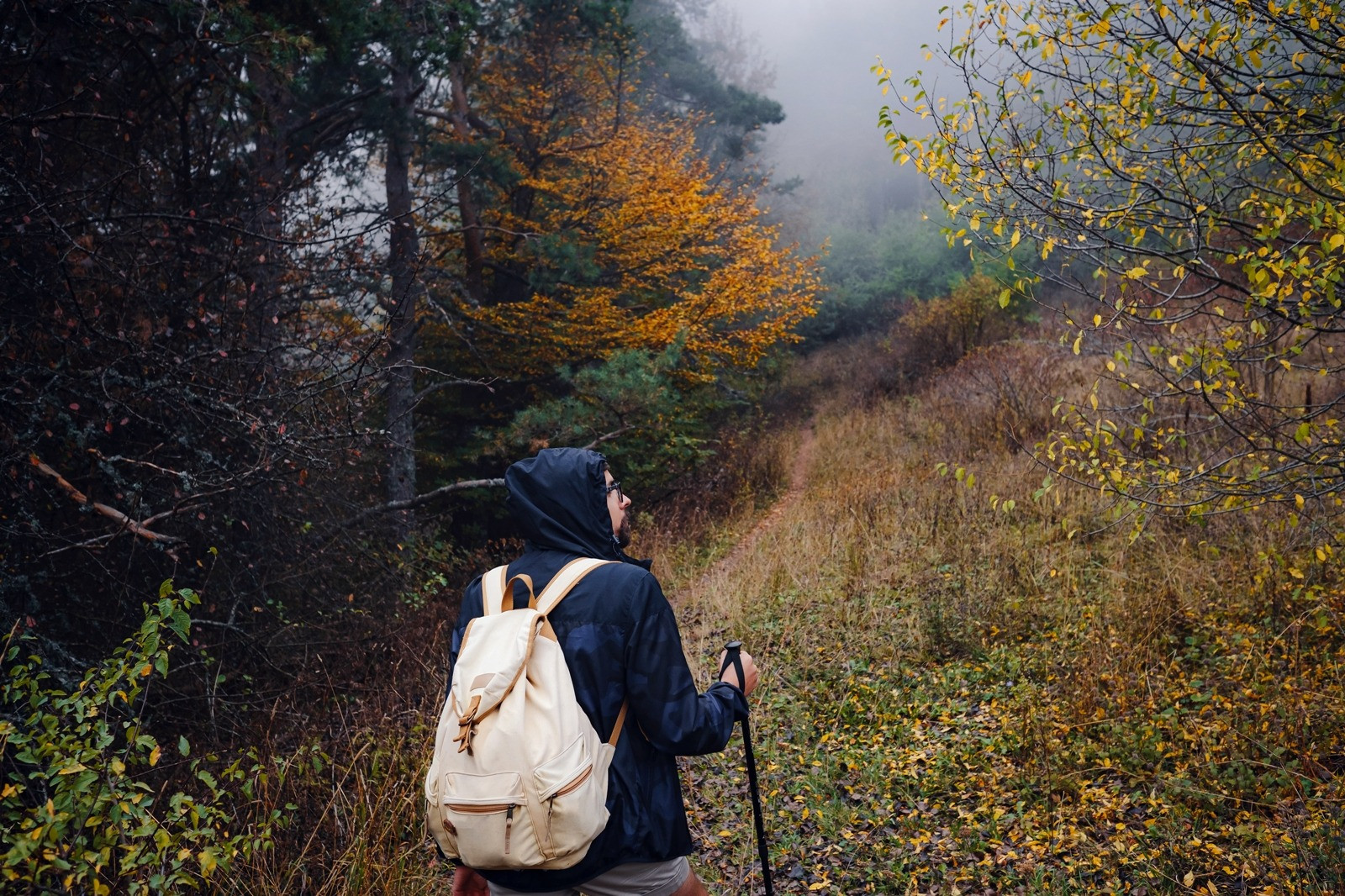Person with a backpack hiking along a misty forest trail surrounded by autumn trees.
