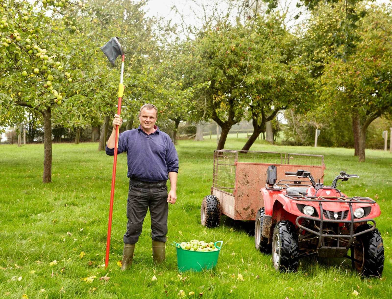 Man standing in an apple orchard holding a long fruit-picking tool beside a red all-terrain vehicle and a bucket of apples.
