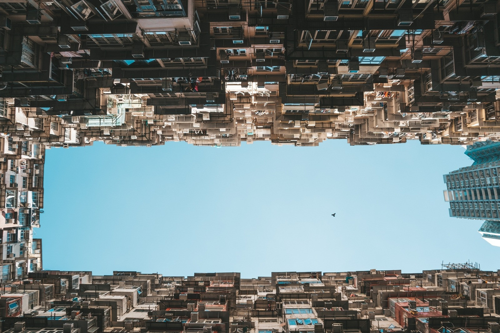 Upward view of closely packed apartment buildings framing a clear blue sky, with a bird flying overhead.