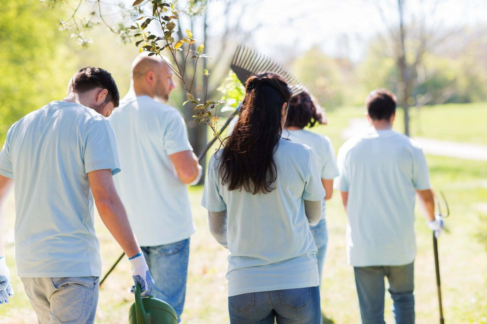 Group of volunteers wearing light-colored shirts working together outdoors in a sunny park.