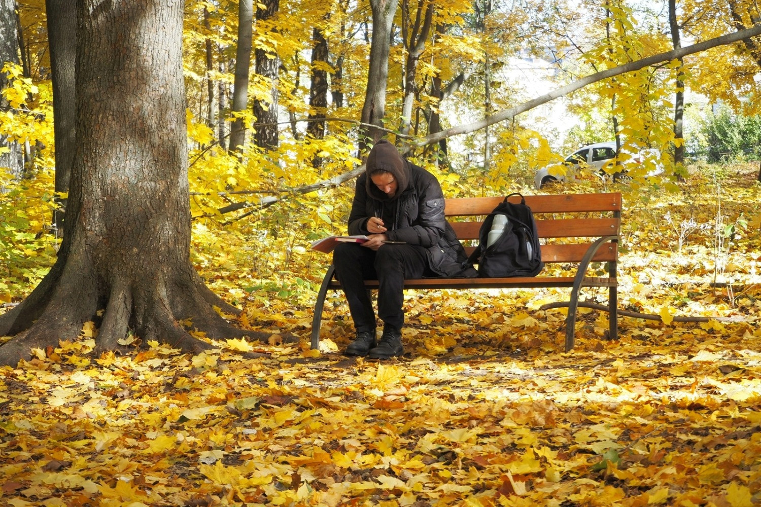 Person sitting on a park bench writing in a notebook among autumn trees, with a car visible in the background.